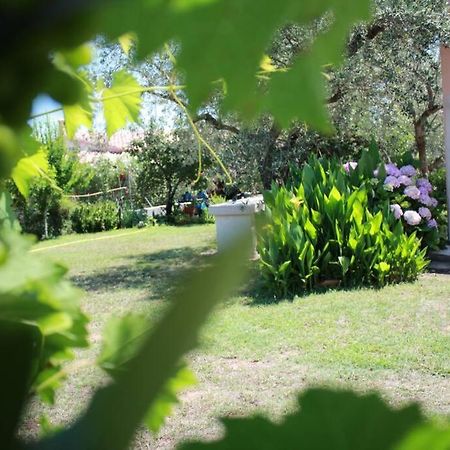 Villa Di Campagna Vicino Al Mare Orosei Exteriér fotografie