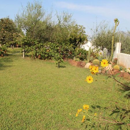 Villa Di Campagna Vicino Al Mare Orosei Exteriér fotografie