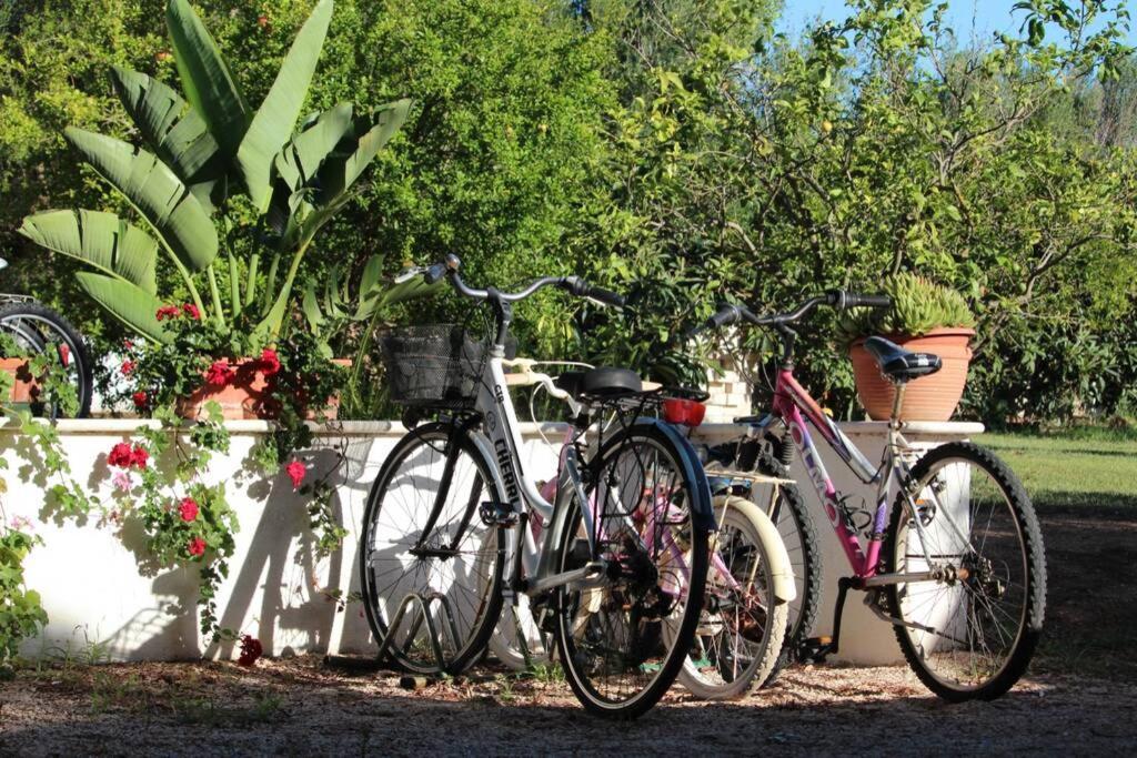 Villa Di Campagna Vicino Al Mare Orosei Exteriér fotografie