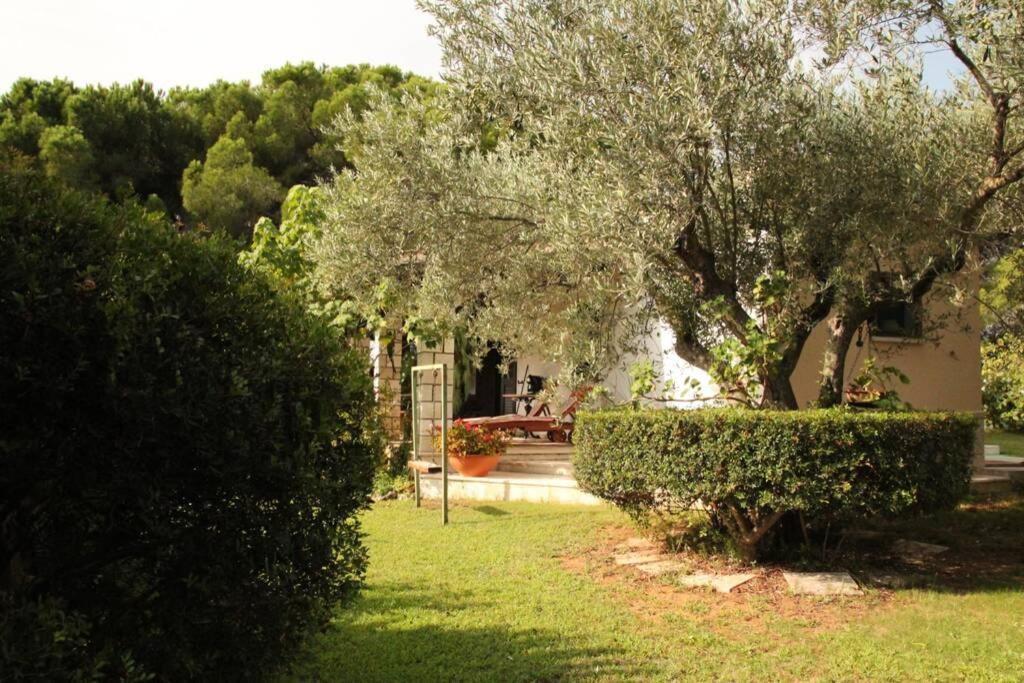 Villa Di Campagna Vicino Al Mare Orosei Exteriér fotografie